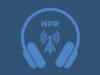 Apakah pewaris Kennedy, Jack Schlossberg, siap memimpin? : NPR
