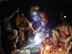 Bagaimana elit politik melindungi penambang hantu yang merusak dalam demam emas