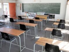 Gauteng menghadapi reaksi balik ketika orang tua dan pendidik menuntut pembalikan pemotongan anggaran sekolah