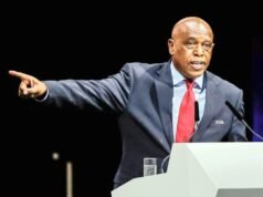 Kisah banteng dan ayam jago di balik skandal peternakan Ramaphosa semakin menarik