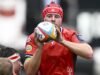 Leinster mendominasi Lions untuk mengakhiri kampanye United Rugby Championship di Dublin