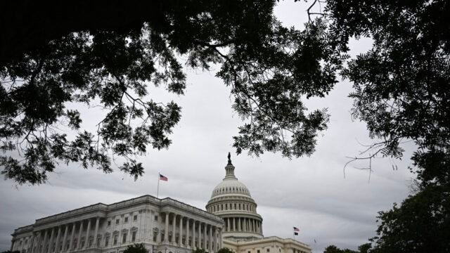 Pembiayaan imigrasi; Laporan DNC 2024; Badai; Aborsi: NPR