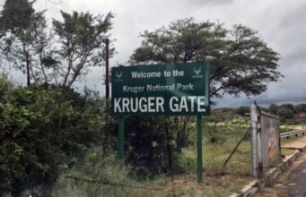 Pembunuhan brutal terhadap wisatawan menyoroti masalah keamanan di Taman Nasional Kruger