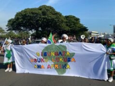 Perdana Menteri KwaZulu-Natal menyerukan persatuan dalam masalah imigrasi