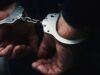 14 imigran tidak berdokumen ditangkap saat pawai anti-imigrasi di Mpumalanga
