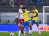 Anak-anak muda Sibiya dan Lethlaku merupakan bagian integral dari kesuksesan abadi Sundowns, kata Cardoso