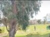 Anggota staf layanan medis darurat meninggal saat mengejar pencuri di Sungai Elsies