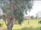 Anggota staf layanan medis darurat meninggal saat mengejar pencuri di Sungai Elsies