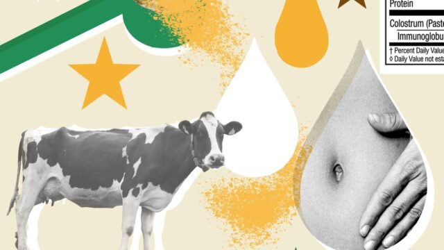 Apakah kolostrum sapi benar-benar “emas cair” untuk kesehatan usus? :