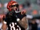 Bengals TE Erick semuanya sembuh total