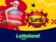 Bertaruh pada El Gordo de Verano di Lottoland Afrika Selatan!