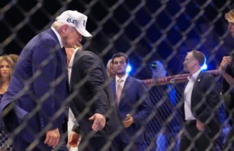 Bos UFC Dana White mengatakan ‘tidak akan lagi’ pada malam pertarungan Gedung Putih lainnya: NPR