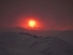 Cuaca Ekstrem Memicu Kebakaran Hutan di Utah: NPR