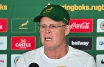 Enam pemain yang belum bermain dipanggil oleh Springbok dengan kembalinya Embrose Papier dan Herschel Jantjies