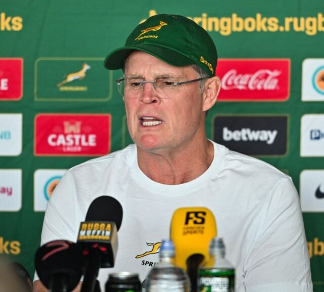 Enam pemain yang belum bermain dipanggil oleh Springbok dengan kembalinya