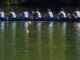 Five Lady Vols Dapatkan Penghargaan CRCA Seluruh Amerika