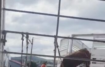 Gadis 12 tahun tewas tertembak peluru nyasar saat kurban