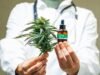 Kita harus melegalkan ganja medis