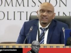 Komisi Madlanga memeriksa keputusan yang dibuat oleh kolonel Hawks setelah dia mempersingkat cuti untuk bergabung dalam operasi kokain senilai R200 juta