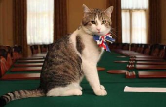 Larry si Kucing: pemimpin tikus yang memecat enam perdana menteri dari 10 Downing Street