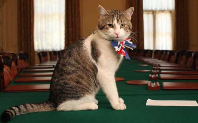 Larry si Kucing: pemimpin tikus yang memecat enam perdana menteri