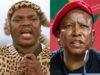 Ngizwe Mchunu mencabut komentar yang memfitnah Julius Malema setelah keputusan pengadilan