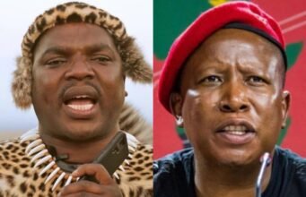 Ngizwe Mchunu mencabut komentar yang memfitnah Julius Malema setelah keputusan pengadilan