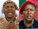Ngizwe Mchunu mencabut komentar yang memfitnah Julius Malema setelah keputusan pengadilan