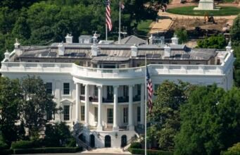 Perintah keselamatan AI baru dari Trump menyerukan peninjauan sukarela terhadap model-model baru: NPR