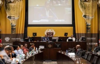 Rencana komisi ad hoc untuk investigasi Mkhwanazi
