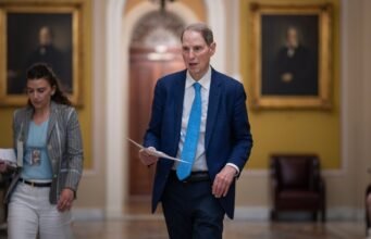 Senat meloloskan RUU imigrasi senilai $70 miliar tanpa batasan pada dana penyelesaian Trump: NPR