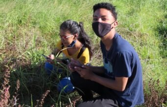 Seniman diundang untuk mendesain spanduk resmi Great Southern Bioblitz 2026