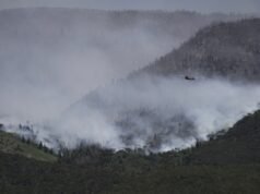 Tiga petugas pemadam kebakaran tewas di perbatasan Colorado-Utah saat kebakaran hutan semakin parah: NPR