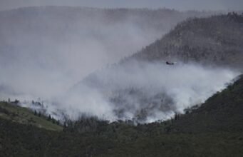 Tiga petugas pemadam kebakaran tewas di perbatasan Colorado-Utah saat kebakaran hutan semakin parah: NPR