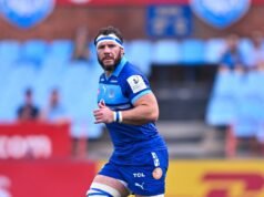 Tim Bulls Springboks bersiap menghadapi semifinal URC yang ketat melawan musuh lama Glasgow