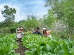AYANA Resort Bali menghadirkan pembelajaran dalam liburan keluarga