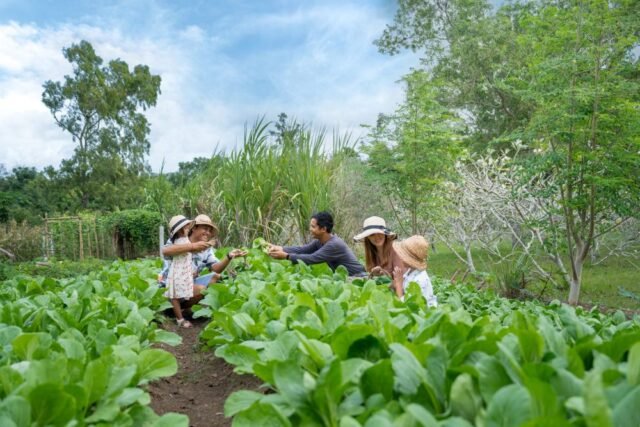 AYANA Resort Bali menghadirkan pembelajaran dalam liburan keluarga