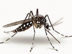 Chikungunya, Japanese ensefalitis, dan demam berdarah