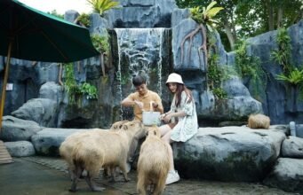 Marine Safari Bali mengubah liburan sekolah menjadi petualangan bawah permukaan